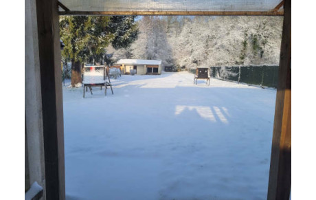 Une autre vision du jeux d'arc