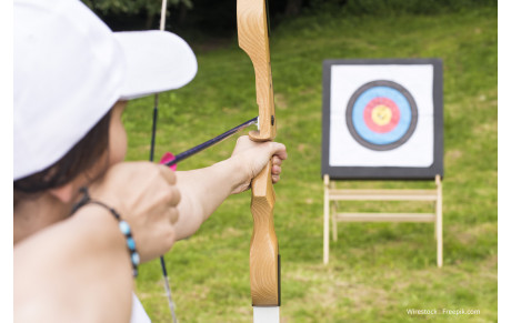 Licence Découverte 2024